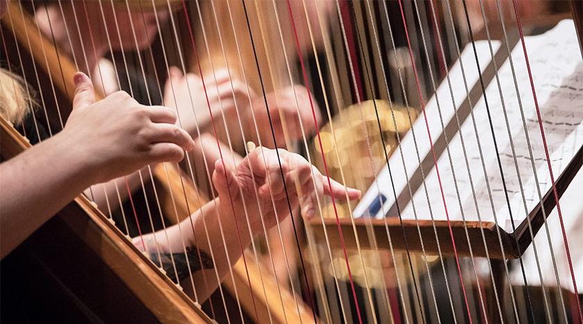 Harfa – zanimivosti in vse, kar morate vedeti